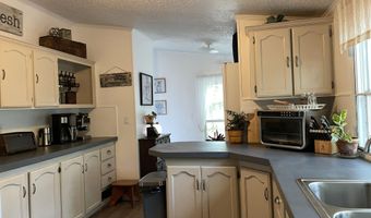 2166 Healing Springs Rd, Blackville, SC 29817