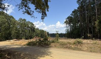SE Cole Drive, Bogue Chitto, MS 39629