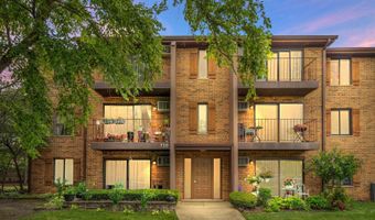 730 N Briar Hill Ln 5, Addison, IL 60101