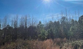 1300 Red Oak Rd, Barnwell, SC 29812