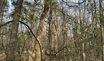 2423 Mill Creek Rd, Bethune, SC 29009