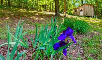 452 County Road 213, Athens, TN 37303