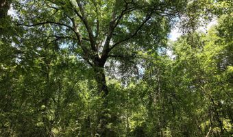 Highway 112, Abbeville, GA 31001