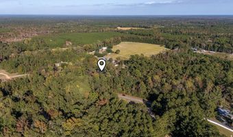 Barnes Rd, Andrews, SC 29510