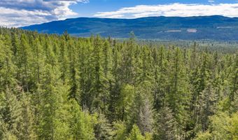 Nhn Red Hawk Drive, Bigfork, MT 59911