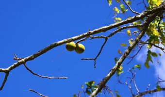 Hairfield Ln lot 0, Axton, VA 24054