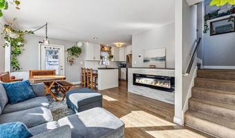 323 N OAK St, Alma, CO 80420