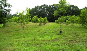 1071 LR 3, Ashdown, AR 71822