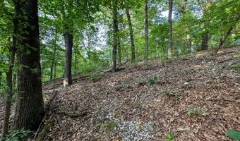 26301 S Sassafras Rdg, Afton, OK 74331