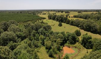 0001 E 1960 Rd, Antlers, OK 74523