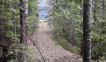 940 Sled Run Trl, Clark Fork, ID 83811