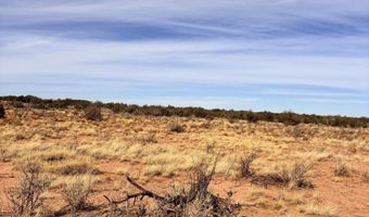 Tbd 207-69-014E, Chambers, AZ 86502