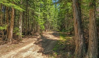 NKA Wandering Wolf Ridge Lot 3, Clark Fork, ID 83811