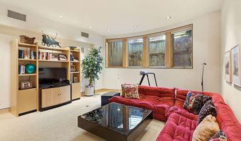 530 W Francis St, Aspen, CO 81611