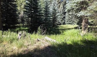 201 Golden Forest Rd, Bayfield, CO 81122