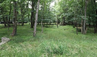Long Brook Way & Woodland Road, Albrightsville, PA 18210