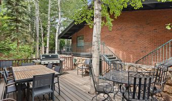 731 S Mill St 2C, Aspen, CO 81611