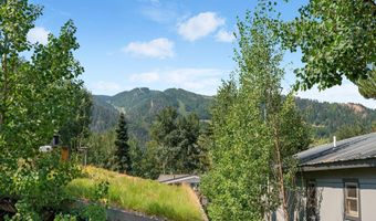 306 Oak Ln, Aspen, CO 81611