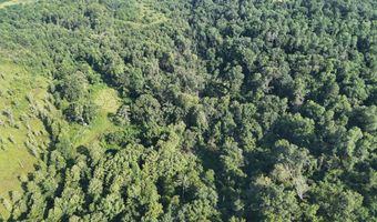 Swamp Road, Beech Island, SC 29842