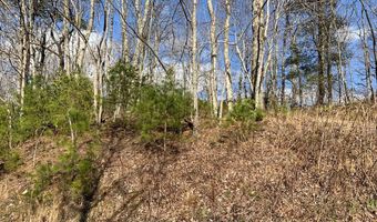 Laramie Heights lot 22, Andrews, NC 28901