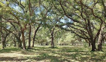 23261 Tuckahoe, Alva, FL 33920