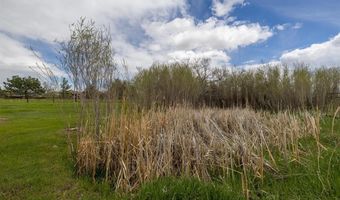 26 Equine Dr, Cody, WY 82414