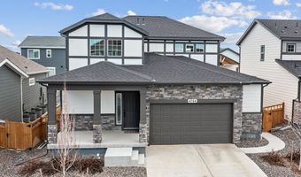 4764 Kipp Pl, Brighton, CO 80601