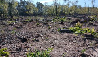 Londe Lane, Barnwell, SC 29812