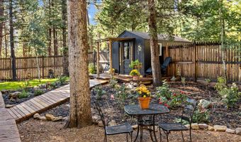 11982 Peak To Peak Dr, Allenspark, CO 80510