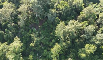 Swamp Road, Beech Island, SC 29842