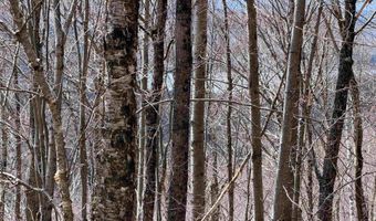 493 Wheeler Mountain Rd, Barton, VT 05822