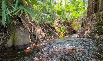 2120 15th Way, Bell, FL 32619