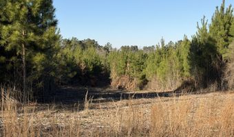 Delancey Road, Braxton, MS 39044