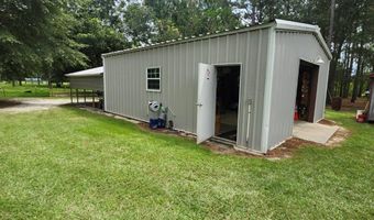 786 Blackberry Rd, Baconton, GA 31716