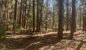 Edgewater Way lot 84, Adin, CA 96006