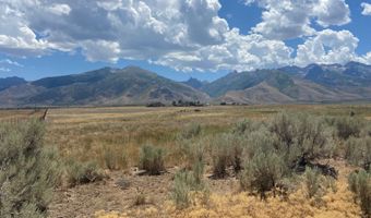 80 21 Acres A, Lamoille, NV 89828