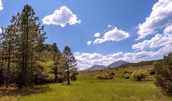 23490 Spirit Mountain Pl, Aguilar, CO 81082