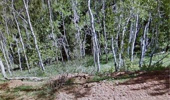524 W Ski View Dr, Brian Head, UT 84719