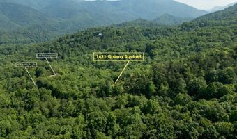 1621 Granny Squirrel Dr, Andrews, NC 28901
