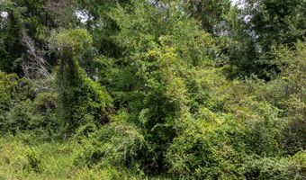 7 02 Acres Monroe E, Ashburn, GA 31714