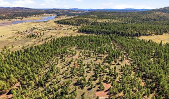 N2147, Alpine, AZ 85920