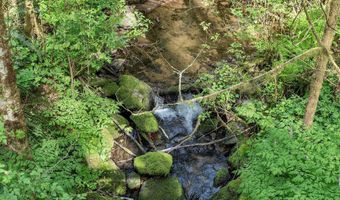 9904 BEACH Dr, Birkenfeld, OR 97016