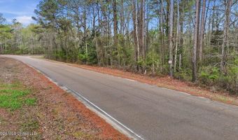 Harrisville Braxton Road, Braxton, MS 39044