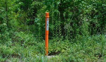 98 63 AC Pointer Rd, Alton, VA 24520