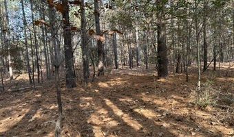 2423 Mill Creek Rd, Bethune, SC 29009