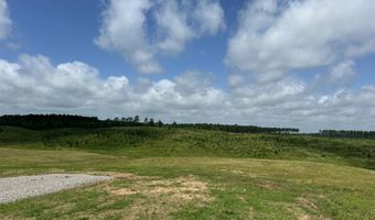 0 Otis Paine Rd, Bethel Springs, TN 38315