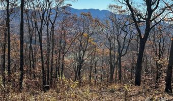 Chappell Farm Road lot 2, Banner Elk, NC 28604