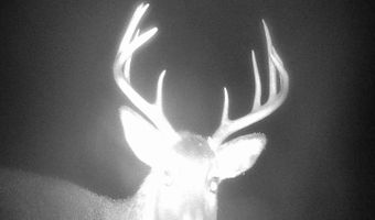 2248 106th St NW, Antler, ND 58711