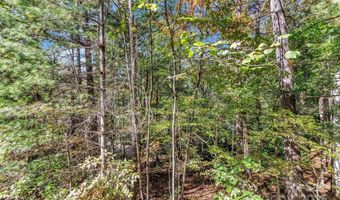 23 Cedarwood Trl B, Asheville, NC 28803