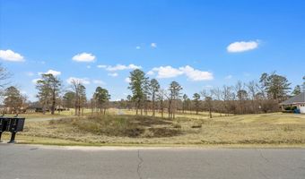 4766 Fairway Hills Ave, Blanchard, LA 71107